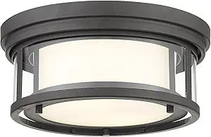 Z-Lite 2 Light Flush Mount 426F12-BRZ