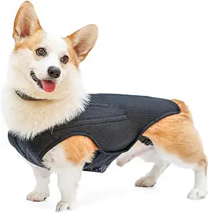 IVDD Back Brace for Dogs, Flexible Pet Dachshund Back Supporting Vest, Dog Back Bracer for Small Pet with Arthritis, Back Pain,Herniated Disc,Spinal Surgical Recovery (S)