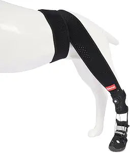 Dog Canine Knuckling Brace Rear Leg Boot with Adjustable Dial for Toe Dragging Cause by Sciatic Nerve Insufficiency, Myelopathy, Herniated Disc (Small, Size 2)