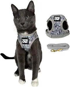 Travel Cat Harness and Leash Set - Adjustable Fit Mesh Cat Harness and Reflective Strap - Comfort Walking Vest for Kitten for Outdoor Walking, Hiking (Medium, Cashcat)