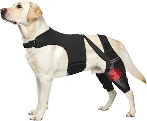 Dog Knee Brace for Torn ACL Hind Legs with Vest, Adjustable Dog Leg Brace with 4 Stabilizers, Hip Support to Reduce Pain, CCL Tear Recovery & Arthritis Ligament Injuries & Luxating Patella (Medium)