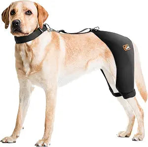 Dog Hip Brace with Hot/Cold Compress, Support for Hip Dysplasia, Arthritis, Back Leg limping, Prevents Hip Joint Issues, Reduce Hip Pain etc(Male Dog, L)
