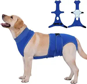 BRKURLEG Female Dog Diapers with Suspender, Washable & Reusable Fixed Diapers for Dogs in Heat, Incontinence & Special Needs, Adjustable Doggie Diaper for Small Medium Large Dogs, Blue XL