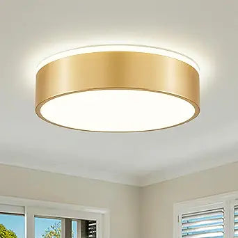 Dimmable Gold LED Ceiling Light, 2700K-6000K 5CCT in One Modern Flush Mount Ceiling Light Fixtures, Minimalist Round Metal Ceiling Lamp for Bedroom Kitchen Hallway Laundry Room-11.8in