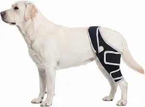Dog Knee Brace for Back Leg for Torn ACL Hind Leg, Dog ACL Knee Brace for Front and Back Legs, Dog Leg Sleeve with Reflective Straps, Multi Leg Universal Fit (L)