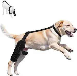 Adjustable Dog ACL Knee Brace for Hind Leg Support, Cruciate Ligament Recovery - Large/Medium Sizes with Extra Stabilizers, Comfortable Wrap & Straps (Black, L)