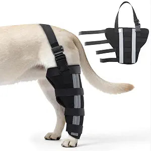 Orthopedic Knee Braces for Dogs, Dog Knee Brace for Cruciate Ligament & Back Leg Support, Canine ACL Brace for Small Pet Recovery, Reflective Trim Dog Recovery Boot (Black, Left Hind Leg, L Size)