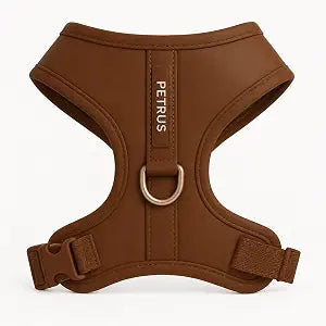 Premium No-Pull Dog Harness Soft Neoprene & Breathable Mesh Vest with Front & Back Clip D-Rings Adjustable Lightweight Walking Harness for Puppies, Small & Medium Dogs (Bronze Brown Gold, XS)