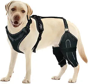 Dog Knee Brace  Rear Leg Support for Luxating Patella,Torn Ligament, Adjustable Support,Effective Wrapping and Joint Warmth, Pain Relief & Better Recovery  Both Legs, Size XXL