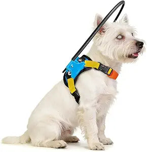 Adjustable Blind Dog Halo Collar, Protective Navigation Aid with Ring Collar, Blind Dog Harness for Visually Impaired Dogs, Dog Halo for Blind Dogs, Blind Dog Bumper