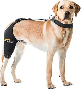 Dog Knee Brace for Torn ACL Hind Leg, Hot/Cold Compress for Patella Dislocation or Osteoarthritis, Cruciate Ligament Injuries,Patent Pending(Right Leg,S)