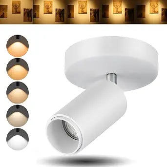LED Ceiling Spotlight Directional Lighting Indoor Spotlights
