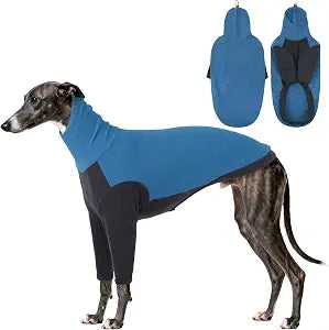 DENTRUN Greyhound Sweatshirt, Fleece Turtleneck Jumper for Sighthounds | Deep-chest fit, Warm knitted, XS to XXL, Sleek design, Whippets Knitted Sweater