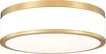 Z-Lite 1012F12-MGLD-LED Kawan 1 Light Flush Mount, Modern Gold