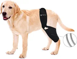 Knee Brace for Dogs ACL with Side Stabilizers,Knee Cap Dislocation, Arthritis - Keeps The Joint Warm and Stable - Extra Support - Reduces Pain and Inflammation - 7SizesM