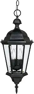 Capital Lighting 9724BK Carriage House Clear Glass Outdoor Pendant, 3-Light 120 Total Watts, 23" H x 10" W, Black