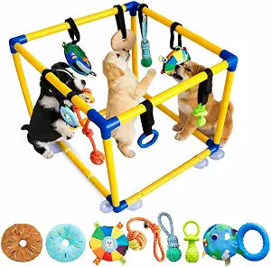 Puppy Play Gym for Small Dogs - 8 Interactive Teething Dog Toys, Durable PVC Frame, Indoor Chew & Activity Center, Relieves Boredom & Anxiety, Safe & Easy to Assemble for Puppies
