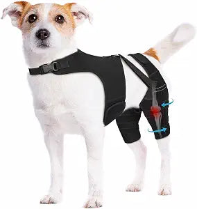 Dog Knee Brace for Torn ACL Hind Leg Dog Leg Brace with Metal Stabilizers for Dogs with Torn ACL, Luxating Patella, Ligament Injuries & Hip Dysplasia, Limping or Osteoarthritis Recovery, XS