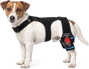 Aliceset Dog Hind Leg Knee Pads, Torn Acl Hind Leg Breathable and Adjustable Support Sleeves, Fit Snugly and Securely, Providing Secure Comfortable Support, Suitable for Everyday Wear(M)