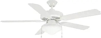 Litex E-WOD52WW5C All Weather Collection 52-Inch Indoor/Outdoor Ceiling Fan with Five White ABS Blades and Single Light Kit with Frost Glass
