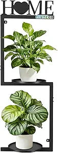 Wall Plant Holder Metal, Plant Frames Wall Decor, Wall Plant Stands for Indoor&Outdoor with Letters HOME Decor, 2 Round Flower Pot Trays, 12*7.87*34.33 Inch, Black