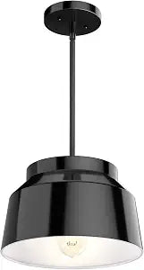 Hunter Fan Company 19025 Cranbrook Pendant Light, Matte Black Finish