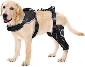 Dog Knee Support for ACL Tear Rehabilitation and Dislocated Patella -Adjustable Leg Support and Sufficient Breathability,Injury Recovery and Balance Assistance-Left Leg-XL Size