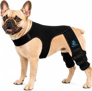 Dog Rear Knee Brace for Small & Medium Breeds, Adjustable Hind Leg Support for ACL/CCL Injury Recovery, Joint Stability, Ligament Protection & Injury Prevention (XL)