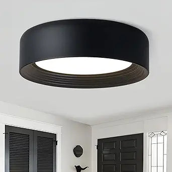 11.8 Inch Modern Dimmable LED Round Matte Black Flush Mount Ceiling Light,5CCT Adjustable 3000K-6000K,Close to Ceiling Lighting Fixture for Hallway,Entryway,Laundry Room,Kitchen,Bedroom