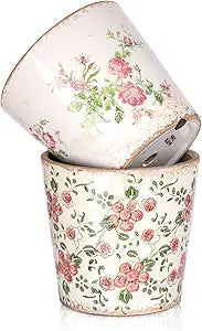 Sungmor Vintage Ceramic Planter Set of 2 - Decorative Indoor & Outdoor Flower Pots with Drainage Holes - Tuscan Dcor Pots, 5.5" Ice Crackle Glaze Planters for Home, Kitchen, Patio, and Garden