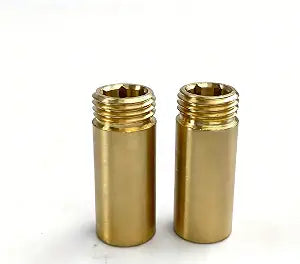 Phoenix 2-Pack Brass Renewable Valve Seat (PF284008)