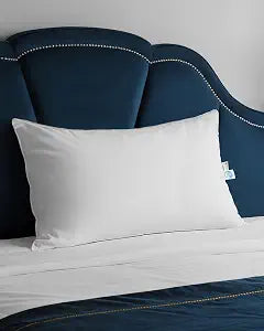 Goose Down Pillow for Sleeping, Hotel Collection 750 Fill Power Queen Size Pillow with Pillowcase - Bed Pillow for Luxury Master Bedroom, Support for Back, Side, Stomach Sleepers, 1 Pack, 20x30 Inch