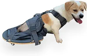 derYEP Pet Scooter Wheelchair for Rear Legs paralyzed Dog Protects Chest and Limbs