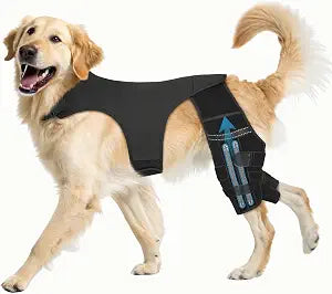 Dog Knee Brace for Torn ACL Hind Leg, Dog Leg Braces for Back Leg Support with 4 Metal Stabilizers Helps with Torn CCL, Luxating Patella, Ligament Injuries, Hip Dysplasia,L