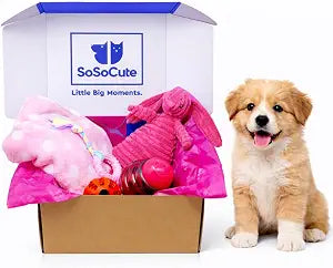 Puppy Starter Kit  5pc Dog Toy Gift Set for Small Dogs  Blanket, Squeaky Plush, Teething Ring, Treat Ball  New Puppy Essentials Gift Box (Pink)