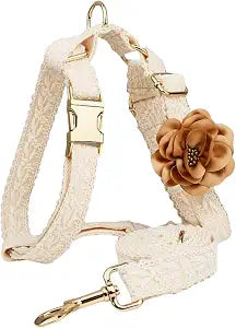 Dog Harness Leash Set Cute Soft No Pull Dog Harness with Comfortable Padded Handle for Dogs Easy Walking,L
