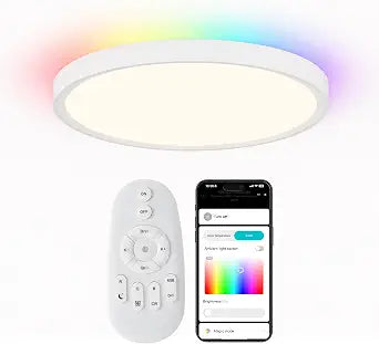 12Inch Smart RGB Flush Mount Ceiling Light,24W,2400LMDimmable Light Fixture