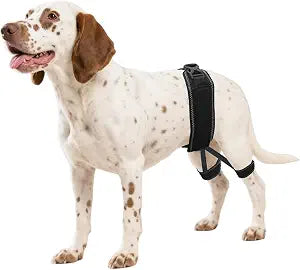 Dog Hip Orthotics Brace, Dog Hip Dysplasia Brace, Support for Hip Dysplasia, Arthritis, Luxating Patella, Back Leg limping, Relieve Hip Pain and Orthodontic Assistance - Small
