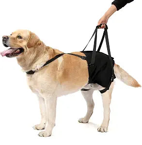 NOYAL Dog Lift Sling for Large Dogs  Hind Leg Support Harness for Senior, Injured, Disabled Dogs, Rear Leg Mobility Aid, Padded Handle for Stairs, Car, Walk
