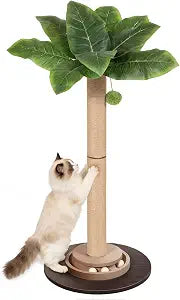 41.5" Tall Cat Scratching Post, Canna Leaf Cat Scratcher with Sisal Rope & Interactive Toys for Indoor Cats
