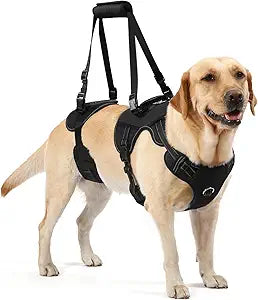 NOYAL Dog Lift Harness for Senior & Injured Pets  Full-Body Support Sling with Breathable Mesh, Front/Rear Leg Assist for Arthritis, Hip Dysplasia & Post-Surgery Recovery (Medium-Large Breeds)