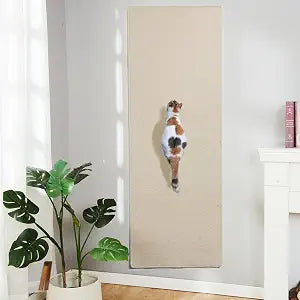 SHENGOCASE 67"x 23.6" Thickened Cat Wall Climbing Carpet, Cat Wall Furniture Scratcher, Scratching Post, Couch Sofa Protector (Creamy-White)