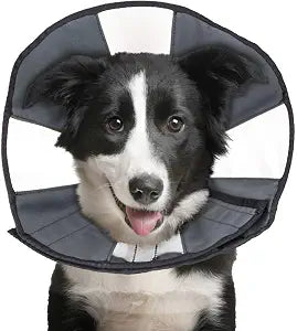 ZenPet Recovery Cone E-Collar for Dogs & Cats  Soft, Comfortable, Safe & Stress-Free Healing After Surgery, Adjustable Design, Secure Custom Fit (Large)