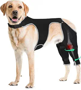 Dog Recovery Sleeve Back Leg Breathable Dog Rear Leg Sleeve for ACL/TPLO Wound Recovery, Adjustable Dogs Pants with Reflective Edge Suitable for Male and Female Pets Cone Alternative,XXL