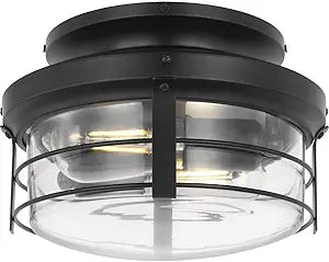 Progress Lighting Springer II Collection Matte Black Rustic Light Kit (P260004-31M-WB)