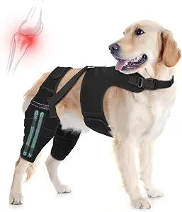 Dog Knee Brace for Torn ACL Hind Legs with Vest, Adjustable Dog Leg Brace with 4 Stabilizers, Hip Support to Reduce Pain, CCL Tear Recovery & Arthritis Ligament Injuries & Luxating Patella (Large)