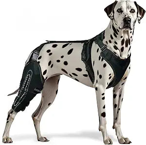 Dog Knee Brace for ACL, CCL, Arthritis, Joint Pain  Hinged Leg Support for Torn Ligament, Luxating Patella, Rear & Hind Legs  Orthopedic Compression & Mobility Recovery Wrap (Right Leg Large)