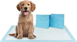 BV XXL Puppy Pads 40 Count 36" x 30" - Leak-Proof Pee Pads for Dogs with 6-Layer Design, Rapid Dry Sheet & Attractant - Dog Pad Extra Large with Odor Control - Perfect for Big Dogs & Indoor Use