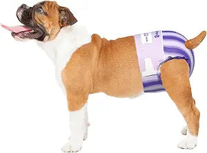 HONEY CARE Petrichor Female Dog Diaper, Camellia Fragrance, Emits Fresh Scent While Absorbing Urine, Thin & Breathable, 2 Fashion Designs in 1 Package, S, 80 Count