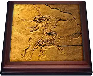 3dRose Archaeopteryx from the Jurassic Germany-Trivet with Ceramic Tile, 8" x 8", Brown